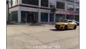 奥迪TT 改装AOOAS智能可变阀门排气系统